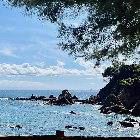 Apartamento Gigi Loft Costabravasi Santa Cristina d'Aro