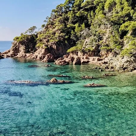 Gigi Loft Costabravasi Santa Cristina d'Aro